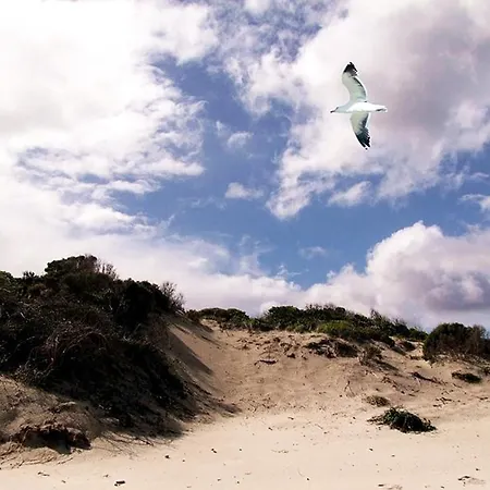 B&B B E B Le Terrazze Sul Mare 3*