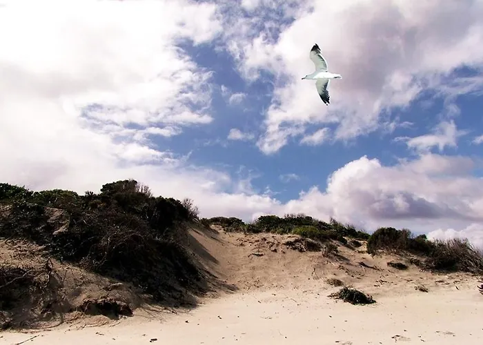 住宿加早餐酒店 B E B Le Terrazze Sul Mare 3*